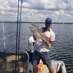 Meet your Posher, Lynn